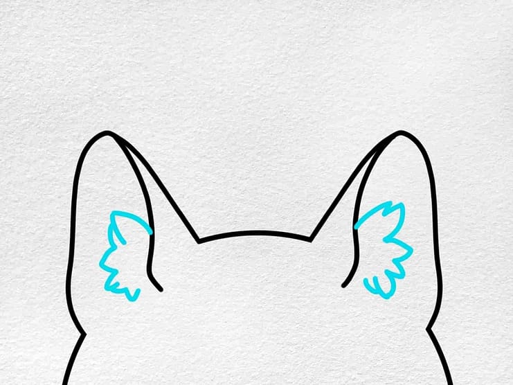 How To Draw Cat Ears
