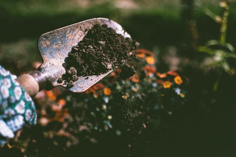How to start a garden